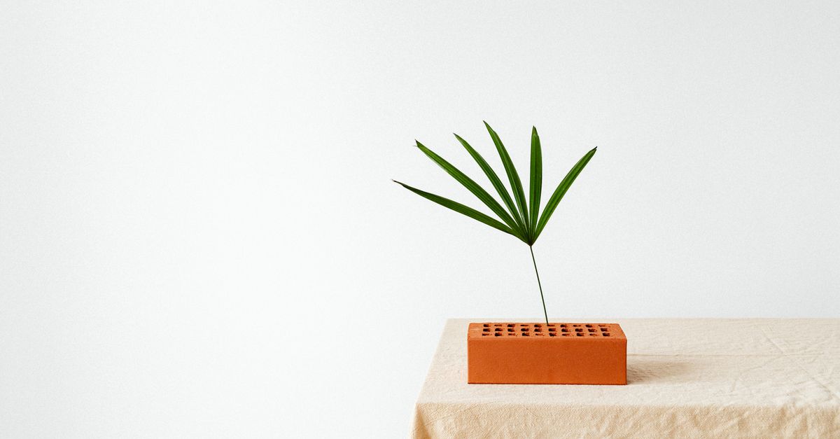 A minimalist still life featuring a green leaf in a brick against a white background.
